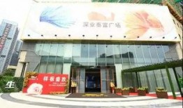 深圳最新爆料电话,神秘电话揭开城市风云背后故事