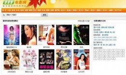 高清电影在线观看网站,揭秘热门在线电影网站观影攻略