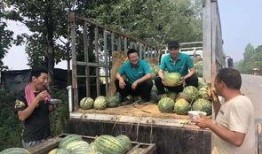 曹县翰林院吃瓜视频免费看,免费观看，笑料连连