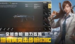绝地求生功夫爆料大全视频,揭秘游戏中的神秘武术技能