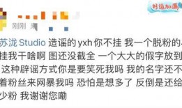 惠然已婚爆料视频大全集,独家爆料全集深度解析