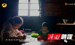 湖南大事件爆料视频播放,视频揭秘震撼瞬间