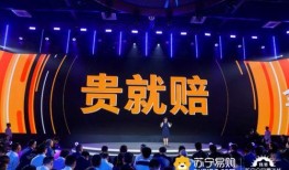 苏宁双十一爆料最新消息,最新爆料揭秘惊喜优惠与独家活动”