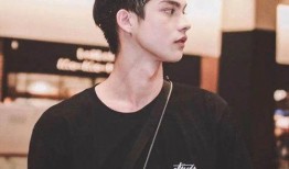 娱乐圈双男主爆料文推荐,揭秘幕后真相与情感纠葛