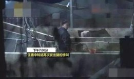 给猪灌泥浆爆料视频播放,一场触目惊心的动物虐待事件