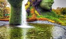 哈尔滨植物园爆料案件最新,惊现神秘命案，真相扑朔迷离！