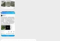 娱乐爆料去哪找人,跟随娱乐爆料探寻人生百态