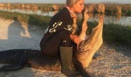 鳄鱼美女在线观看,惊险刺激的在线观看之旅